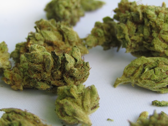 CBD produkter: Hvorfor interessen vokser for CBD weed, CBD hash og CBD olie